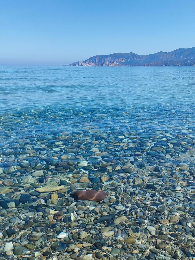 Appartamento La Collinetta غونيسا المظهر الخارجي الصورة